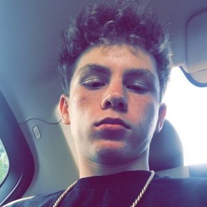 Meet your Posher, Steven